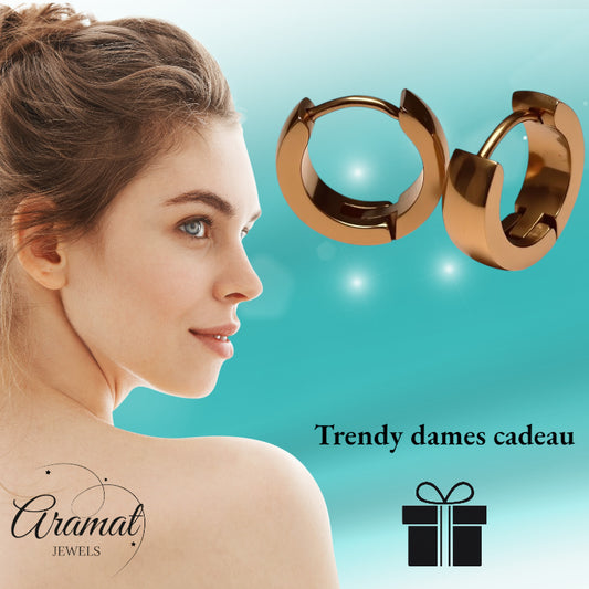 Oorringen – Staal Huggies Rosékleurig (14x4mm)