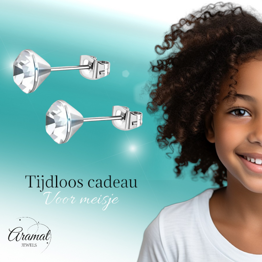 Stalen Kristal Oorbellen met transparant steentje – Zilverkleur – 3mm