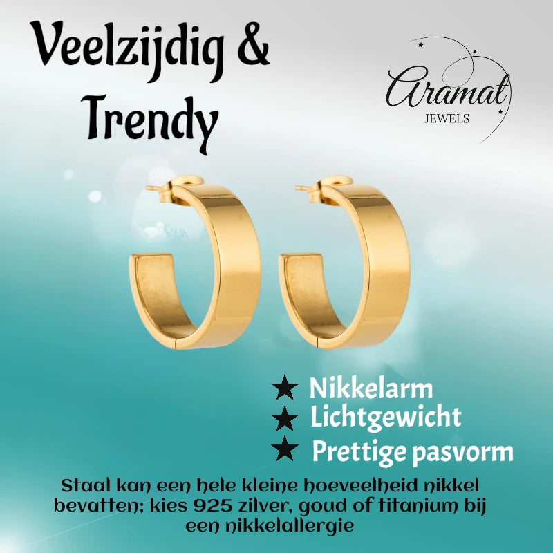 Oorbellen – 23mm Hoepel Creool Glad RVS Goudkleur Modern Unisex