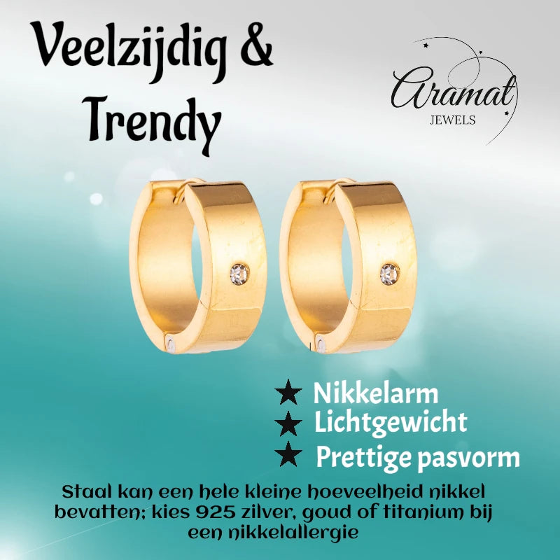 Oorringen – 20mm Glanzende Huggie Creool met Zirkonia RVS Goudkleur