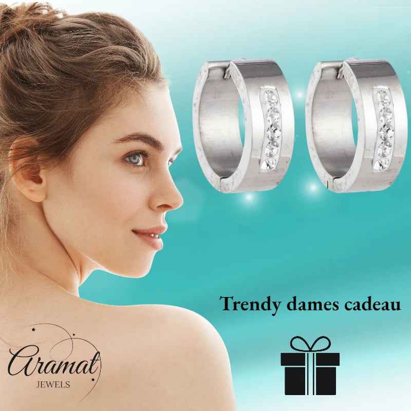 RVS Oorringen Kristal Streep Zilverkleur 20mm - Dames