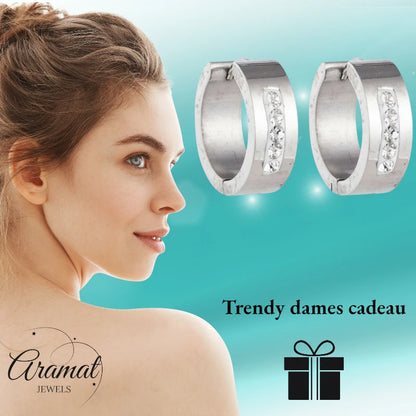 RVS Oorringen Kristal Streep Zilverkleur 20mm - Dames