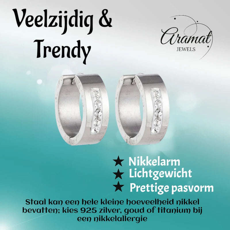 RVS Oorringen Kristal Streep Zilverkleur 20mm - Dames