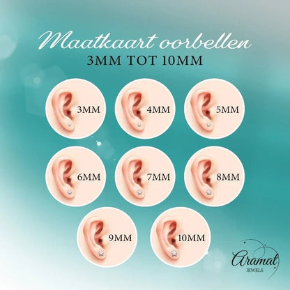 Aramat Jewels oorstekers van staal met een transparant kristal in AB-afwerking, 8mm groot, zilverkleurig.