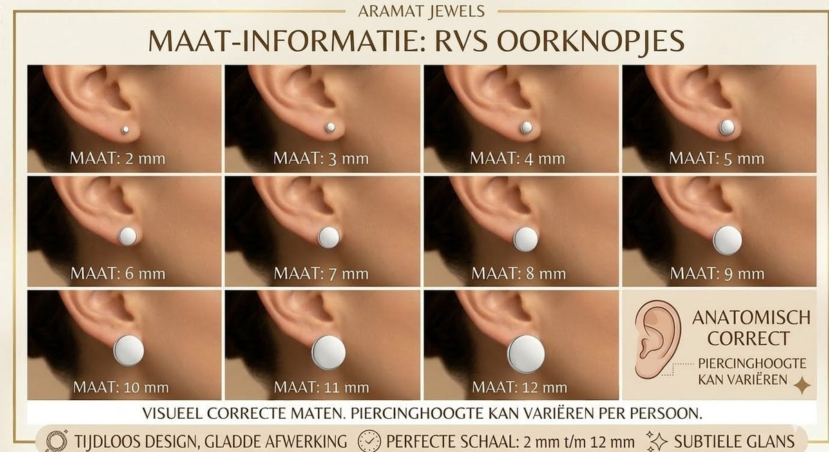 Aramat Jewels zilverkleurige oorstekers met een 6mm aqua blauw kristal, gemaakt van roestvrij staal.