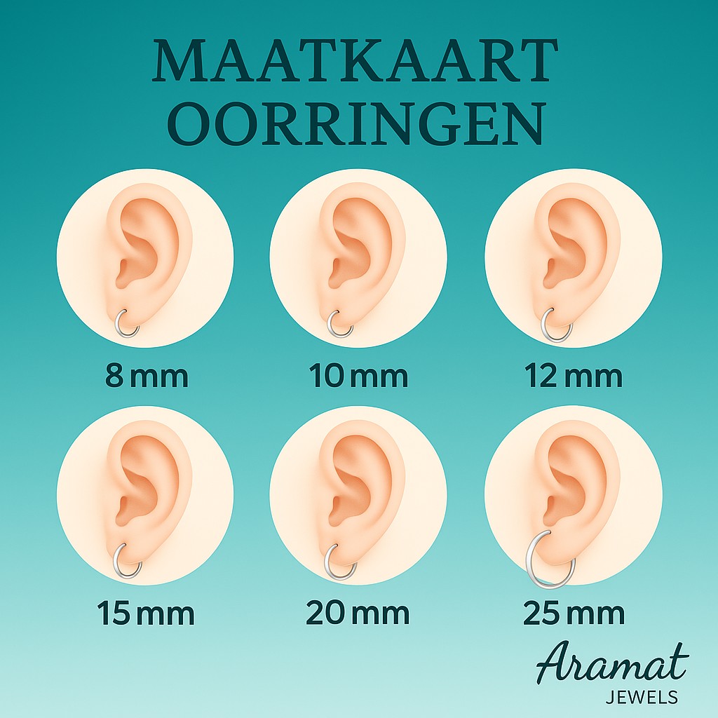 Zilverkleurige Brede RVS Oorringen met Dubbele Zirkonia 23mm