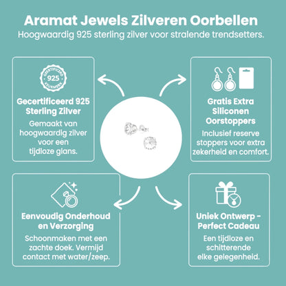 Prachtige Kristallen Oorbellen van 925 Sterling Zilver - Aramat Jewels - Oorbellen - cadeautip