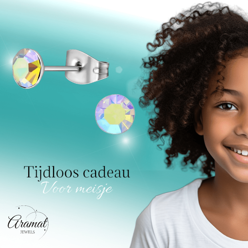 Stalen Kristal Oorbellen met AB transparant steentje – Zilverkleur – 5mm - Aramat Jewels - Oorbellen - cadeautip