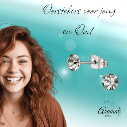 Stalen Kristal Oorbellen met Black Diamond steentje – Zilverkleur – 5mm - Aramat Jewels - Oorbellen - cadeautip