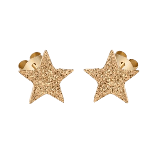 Ster oorstekers goudkleur – sandblasted – 6mm - Aramat Jewels - Oorbellen - cadeautip