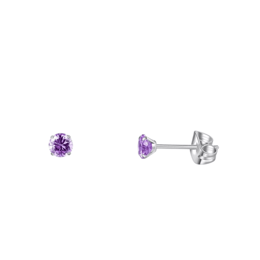 Titanium Oorbellen Met Zirkonia Paars - Aramat Jewels - Oorbellen - cadeautip