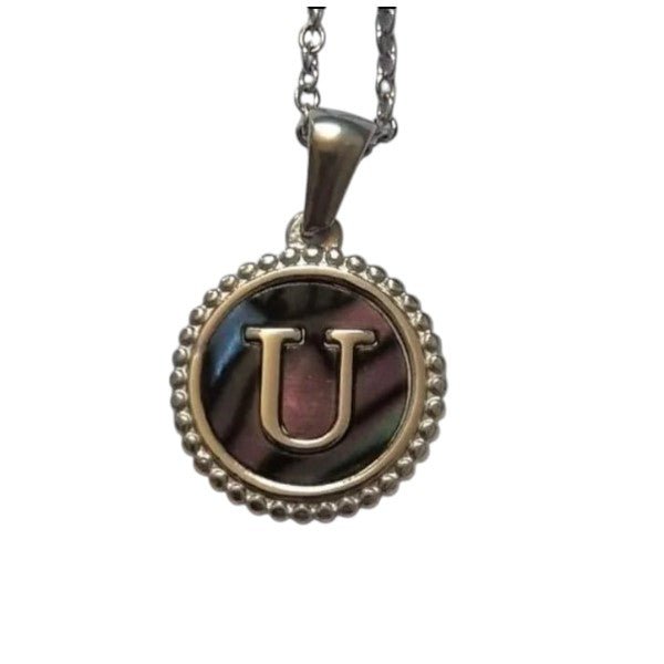 Unieke Stalen Initiaal Ketting met Abalone Schelp - Zilverkleur - 45cm - Aramat Jewels - Halskettingen - cadeautip