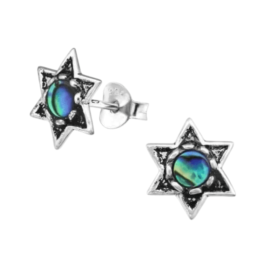 Zilveren Abalone Steroorbellen 10x9 mm - oor981 - 30784 - Oorbellen kopen# - 10mm - 925 Zilver - Abalone